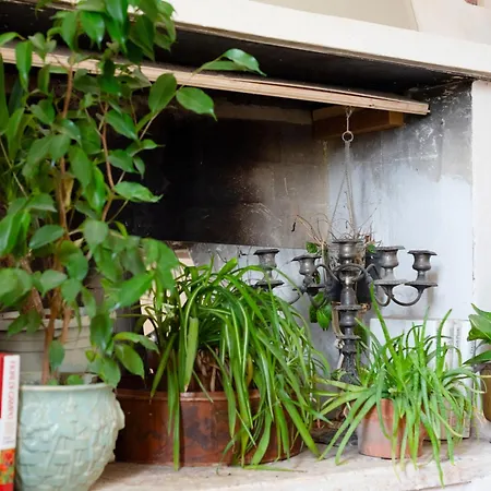 Apartmán Botanica *